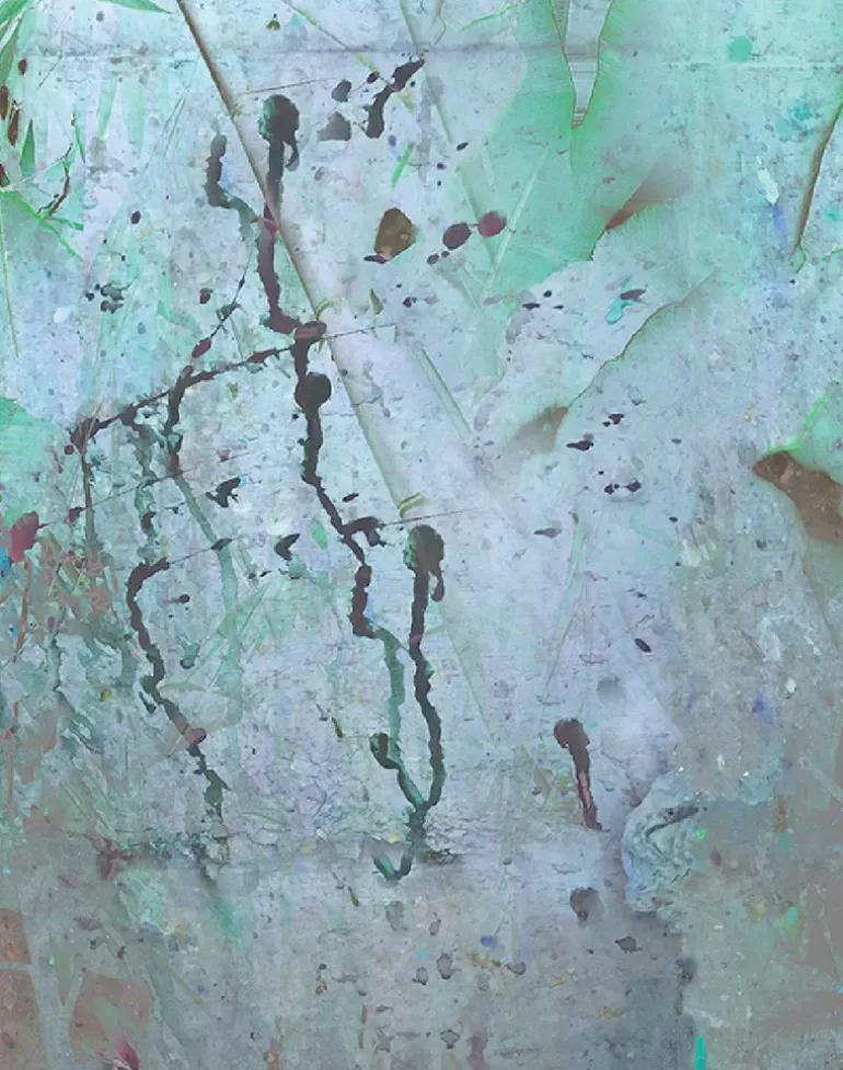 Wise Pond - A Frog Jumps PM164-01