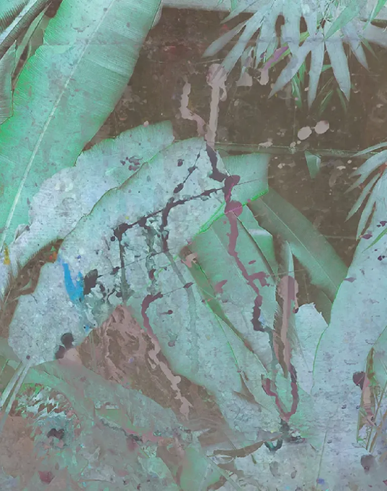 Wise Pond - A Frog Jumps PM164-01