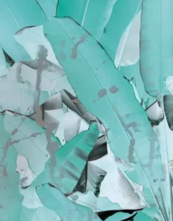 Wise Pond - A Frog Jumps PM164-02