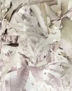 Wise Pond - A Frog Jumps, Soft Neutral PM164-06