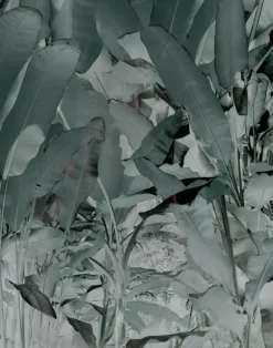 Wise Pond - A Frog Jumps, Teal PM164-05