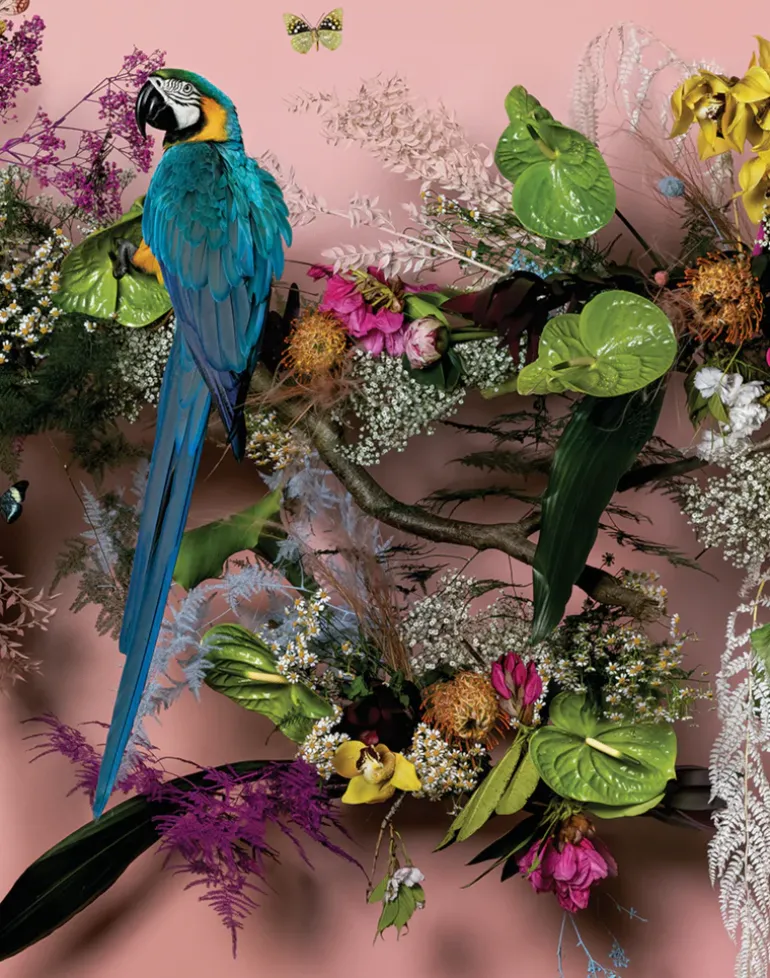 Wonderlust, Dawn Flight