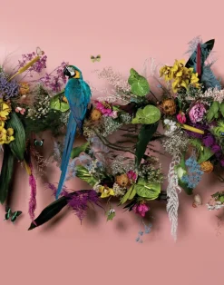 Wonderlust, Dawn Flight