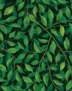 A Million Leaves, Dark