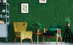 A Million Leaves, Dark