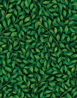 A Million Leaves, Dark Supersized