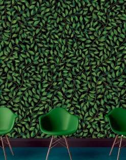 A Million Leaves, Dark Supersized