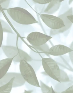 A Million Leaves, Mist