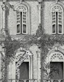 ANIMAL ARCHITECTURE ARCHITECTURE GREY