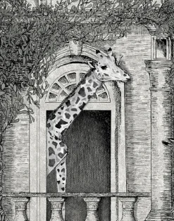 ANIMAL ARCHITECTURE ARCHITECTURE GREY