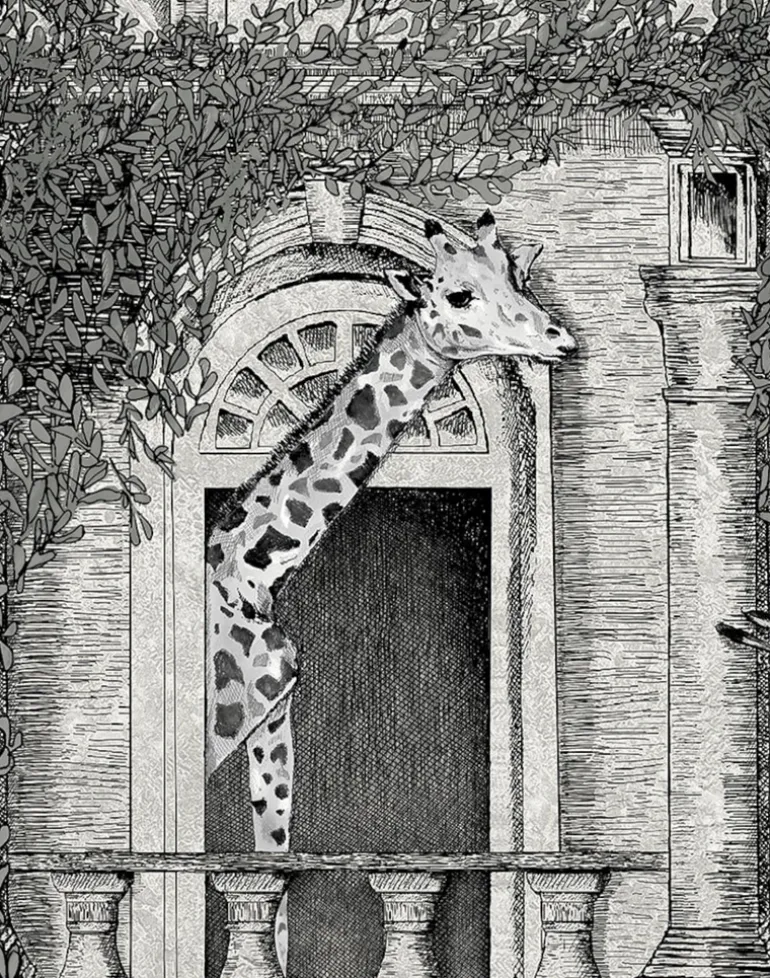 ANIMAL ARCHITECTURE ARCHITECTURE GREY