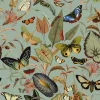 Aqua Butterfly Wallfabric