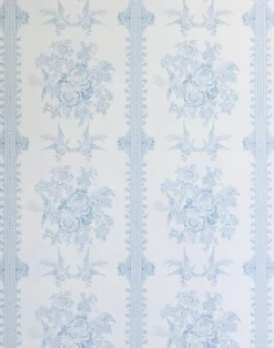 Asiatic Pheasant, China Blue