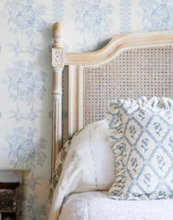 Asiatic Pheasant, China Blue