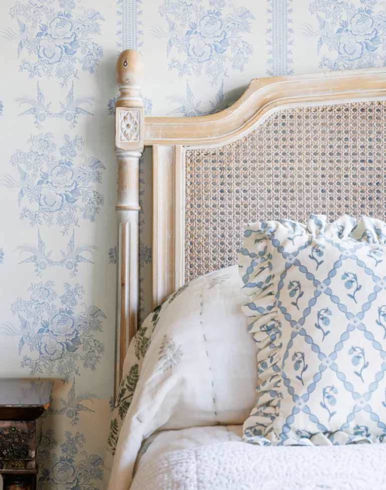 Asiatic Pheasant, China Blue