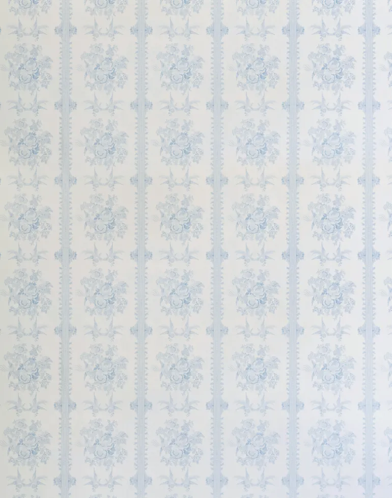 Asiatic Pheasant, China Blue