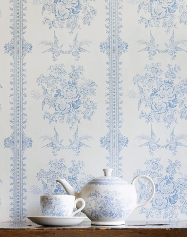 Asiatic Pheasant, China Blue