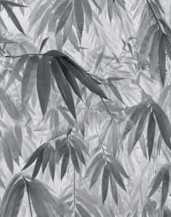 Bamboo Breeze - Haze, PM165-06