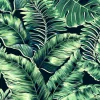 BANANA LEAVES MAX LEAF GREEN