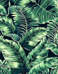 BANANA LEAVES MAX LEAF GREEN