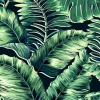 BANANA LEAVES STANDARD LEAF GREEN