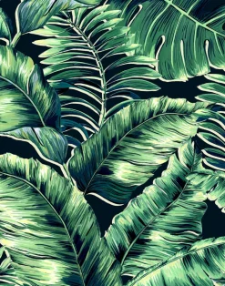 BANANA LEAVES STANDARD LEAF GREEN