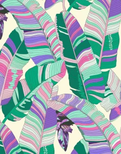 Banana Palm Dream, Brittany