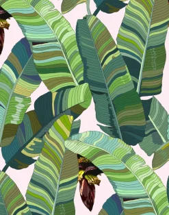 Banana Palm Dream, Walt Whitman