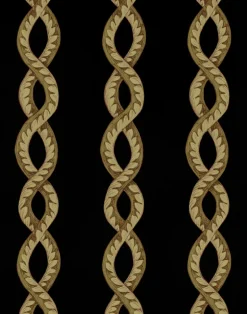 Baroque Maximal, Void WPLN0111