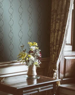 Baroque Minimal, Moonlight WPLN0116