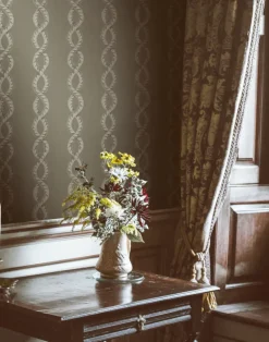 Baroque Minimal, Potting Soil WPLN0118