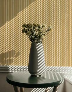 Beach House, Sunstruck WPLC0574