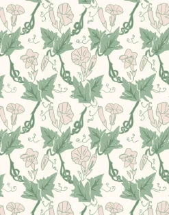 Bindweed, Pink Trumpet