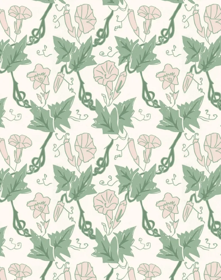 Bindweed, Pink Trumpet