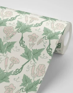 Bindweed, Pink Trumpet