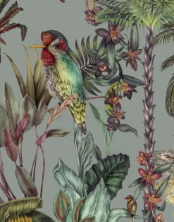 Birds Birds, Original