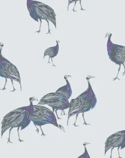 Birds of a Feather, JTBF02