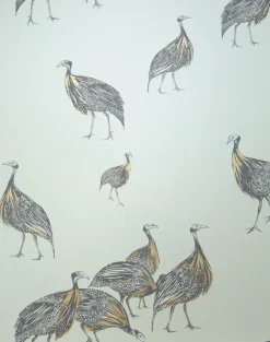 Birds of a Feather, JTBF01