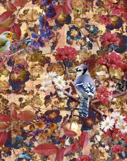 Birds Paradise, Unique