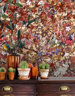 Birds Paradise, Unique