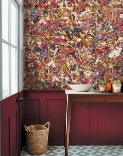 Birds Paradise, Unique