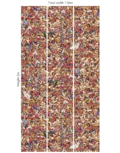 Birds Paradise, Unique