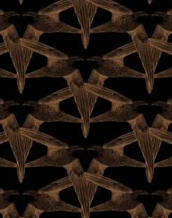 Black Birds, Regular