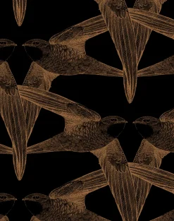 Black Birds, Regular