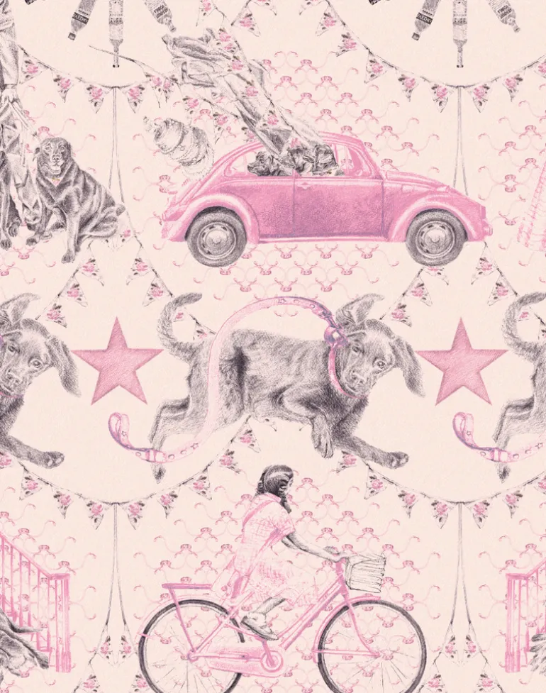 Black Labrador, Pink