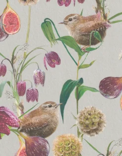 Botanical Wren, French Grey