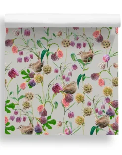 Botanical Wren, French Grey