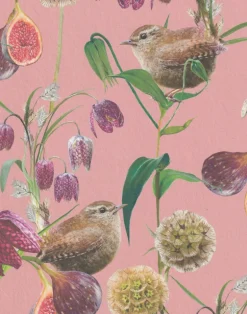 Botanical Wren, Pink Rose