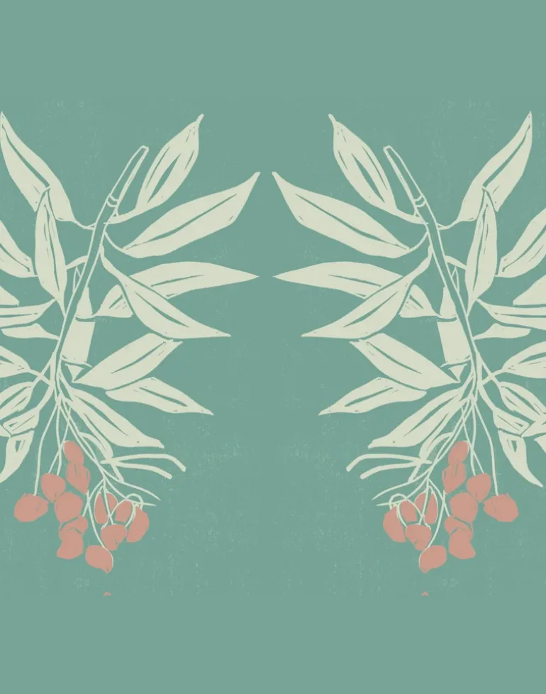 Branch of Mangos, Pink Fruit