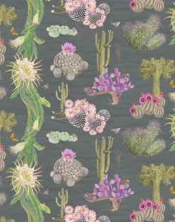 Cactus Mexicanos, Carbon